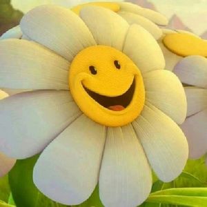 Meet your Posher, Mae