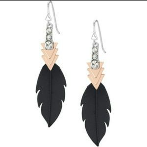 RESERVED FOR ISLAND_BEAUTY: Raven Earrings
