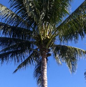 Meet your Posher, Lynette