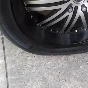 Meet your Posher, Larry