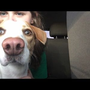 Meet your Posher, Kristin