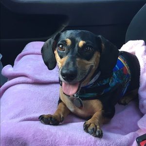 Meet your Posher, Amy