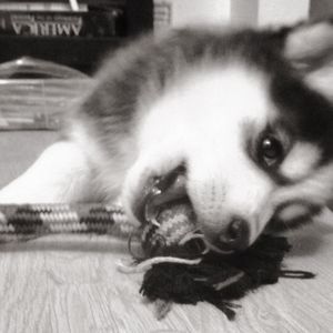 Meet your Posher, Ayden