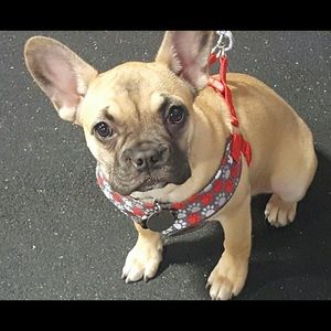 Meet your Posher, Mackenzie