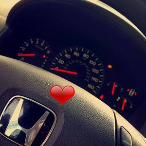 Meet your Posher, Teddy