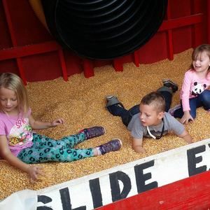 Meet your Posher, Frankie