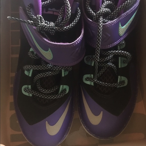 Nike Lebron sneakers