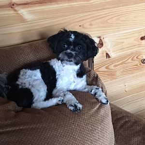 Meet your Posher, Cindy