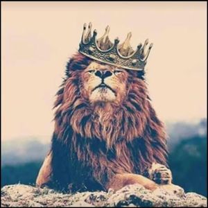 Meet your Posher, Nehemiah