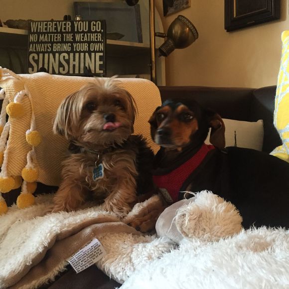 Meet your Posher, Marsha - Picture 1 of 1