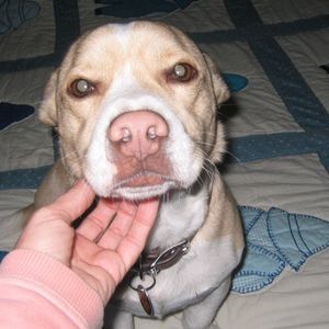 Meet your Posher, Debrah