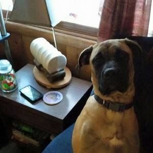 Meet your Posher, April