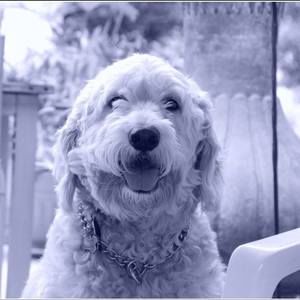 Meet your Posher, Kari