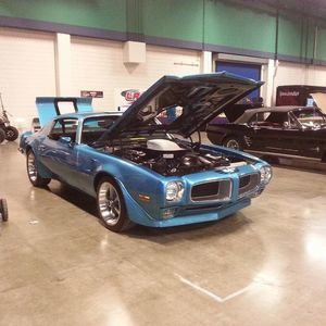 Meet your Posher, Jordan