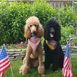 Meet your Posher, Annette