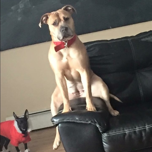 Meet your Posher, Colleen