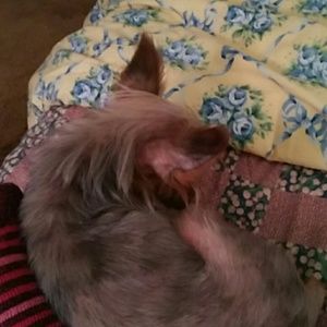 Meet your Posher, Martha