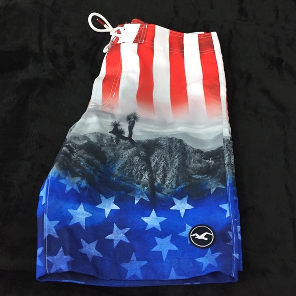 NWT Hollister swim trunks