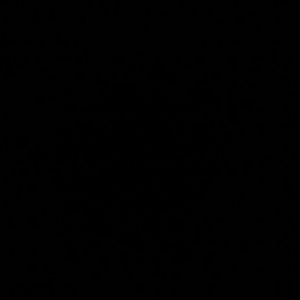 Meet your Posher, Antonio