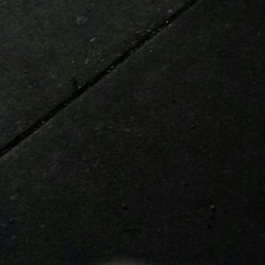 Meet your Posher, Joey