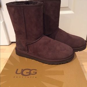 Authentic new chocolate brown UGG boots