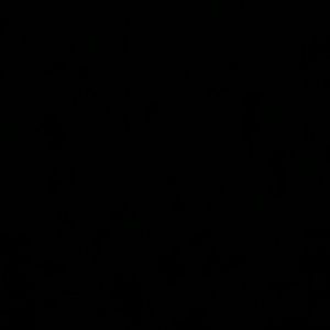 Meet your Posher, Sybil