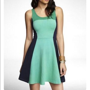 Express Color Block Stretch Cotton Skater Dress