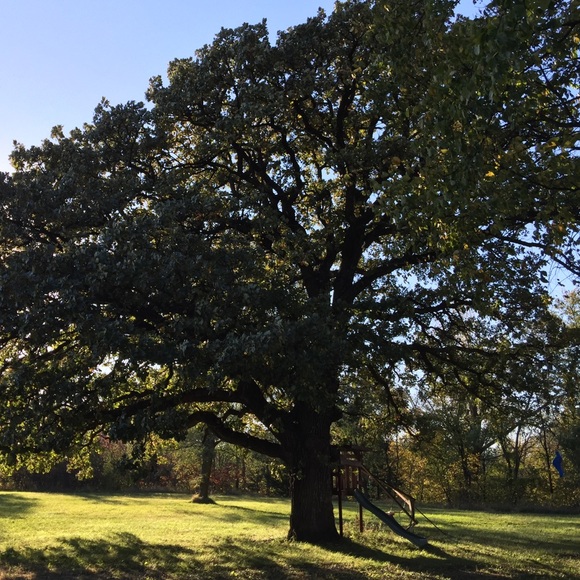 Meet your Posher, Rebekah