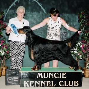 Meet your Posher, Dana