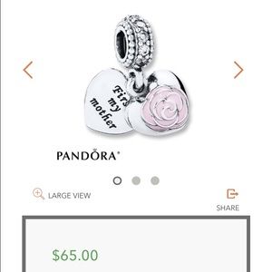 Pandora necklace with charm