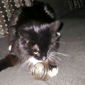 Meet your Posher, Trent