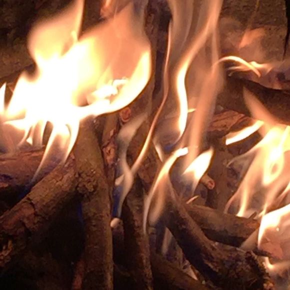 Meet your Posher, Michael - Picture 1 of 1