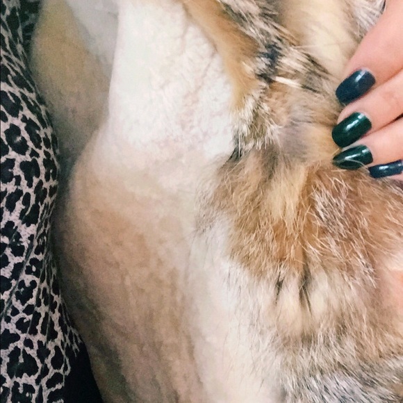 NWT Red 100% Leather Coyote Waterproof Coat Europe - Picture 4 of 7