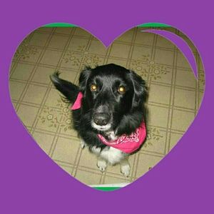 Meet your Posher, Tania