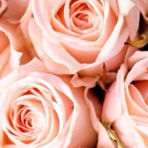 Meet your Posher, Alejandra