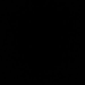 Meet your Posher, Noemi