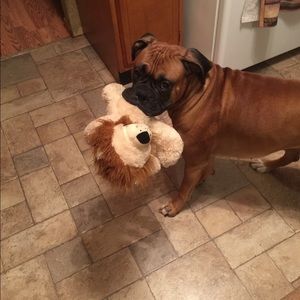 Meet your Posher, Chris