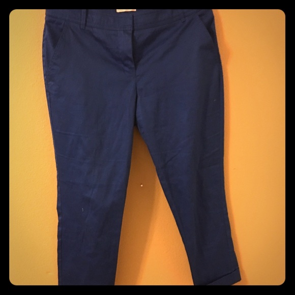Blue New York and Co Capris