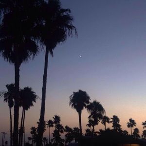 Meet your Posher, Ernesto