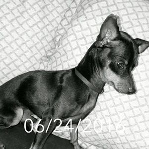 Meet your Posher, Marcelo