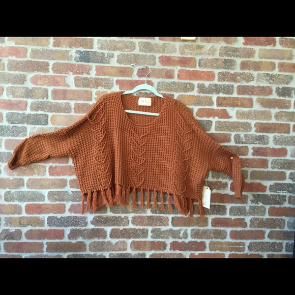 🚫SOLD🚫 What the cuteness crop fringe sweater