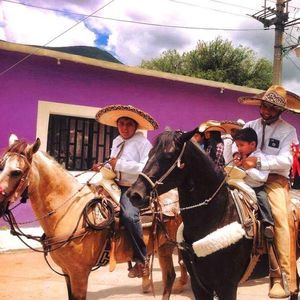 Meet your Posher, Leonel