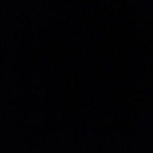 Meet your Posher, Donovan