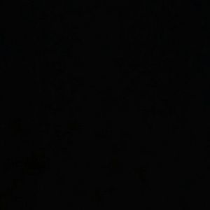 Meet your Posher, Liz