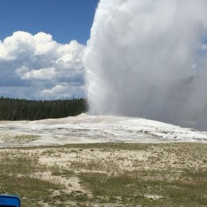 Meet your Posher, Bebe