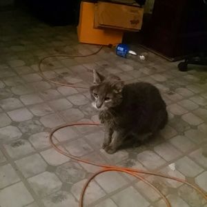 Meet your Posher, Joyelle