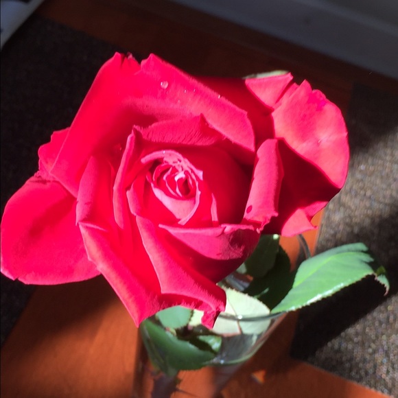 Meet your Posher, Clarise