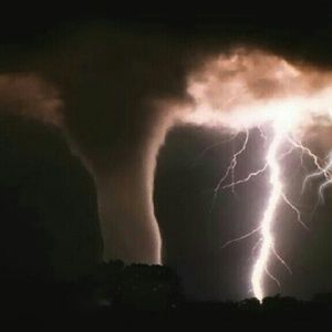 Meet your Posher, Will