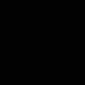 Meet your Posher, Irvin