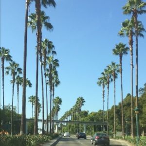 Meet your Posher, Abdulrahman